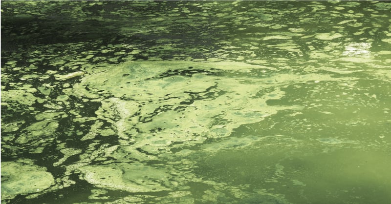 Why Screen Printers Should Use a Filtration System